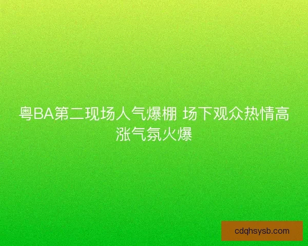 粤BA第二现场人气爆棚 场下观众热情高涨气氛火爆