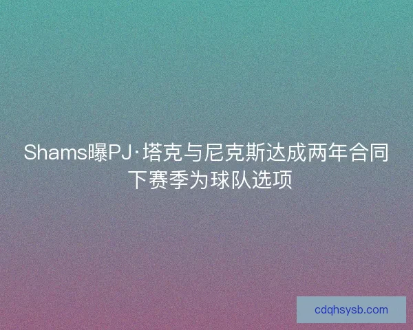 Shams曝PJ·塔克与尼克斯达成两年合同 下赛季为球队选项